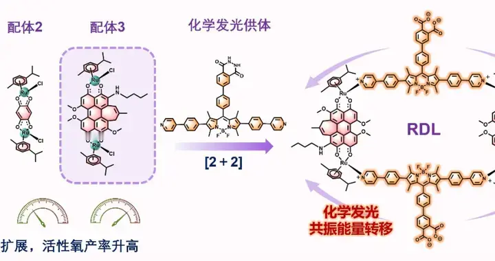 超声波根除深部病菌？肺炎治疗或有新思路 | 科技前线