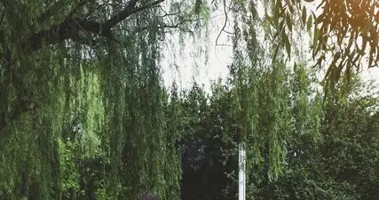 连绵起伏、层层叠叠的隐忍中一寸相思，漫溢出千万缕‖秀川