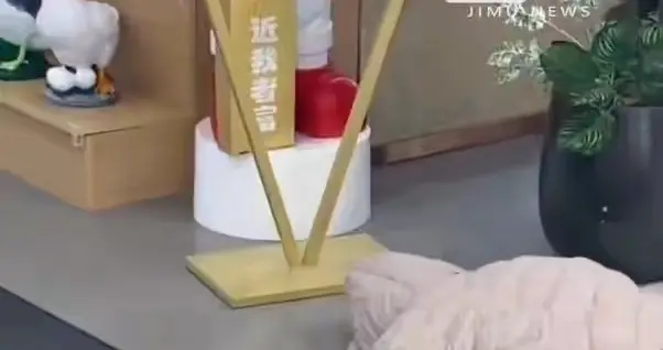 河南一女子在餐厅门口趴地不起，店家无奈贴出告示，网友却有话说