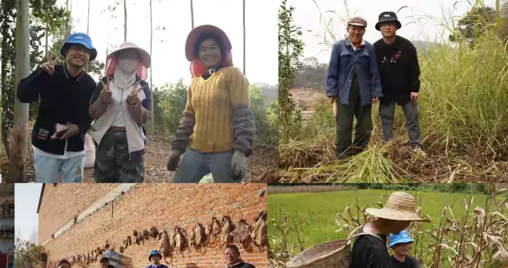 靠种地，到底能不能养活一家人？