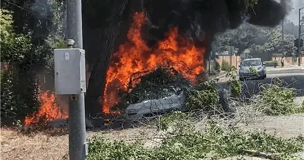 特斯拉撞树后打不开车门，5人被困车内身亡！特斯拉在美被起诉