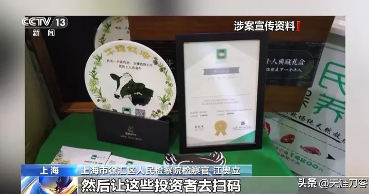 养8年没见牛毛！12万人砸5.6亿全喂了空气牛骗局