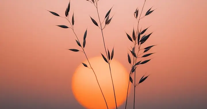 光大银行"每股派息1.05元"？股价3元多高股息陷阱竟是标题没说清