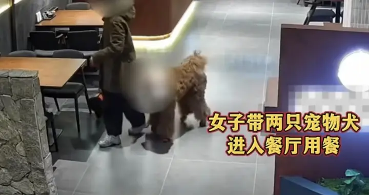 带狗进店被拒后她怒写差评：我狗住过法国皇宫，凭啥不让进