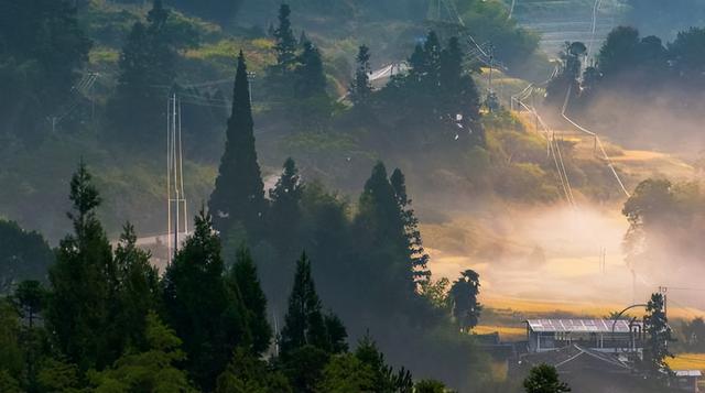 宁愿当刺头，别当老实头