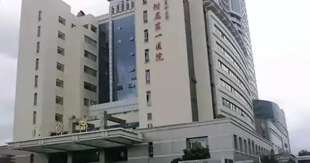 关于马拉松赛事的故事