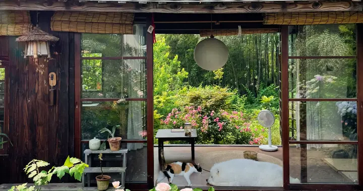 种花还是种树？这8种果树，种一次能吃几十年，春天看花秋天吃果