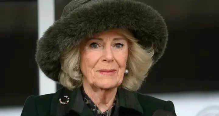 太讽刺！卡米拉王后拿下新荣誉，标榜的方向戳中威廉哈里“痛点”