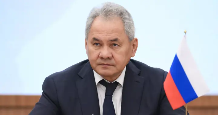 绍伊古希望友好国家出手，先帮俄罗斯建发电站，再把技术全留下