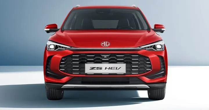 2026年2月，新西兰车市，中国汽车品牌表现优异！