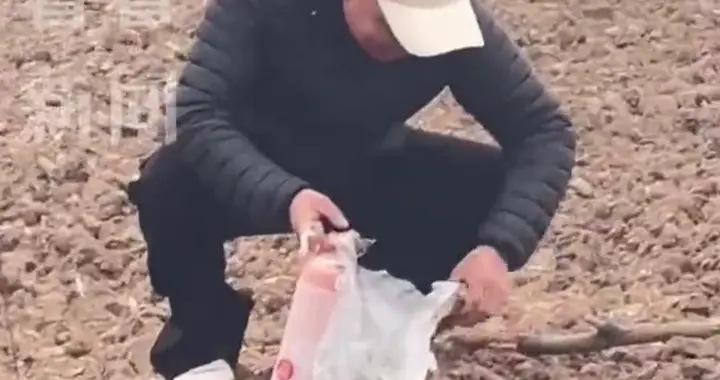 荒诞热搜：一碗刨猪汤火了，竟让门前泥土成了“发财土”