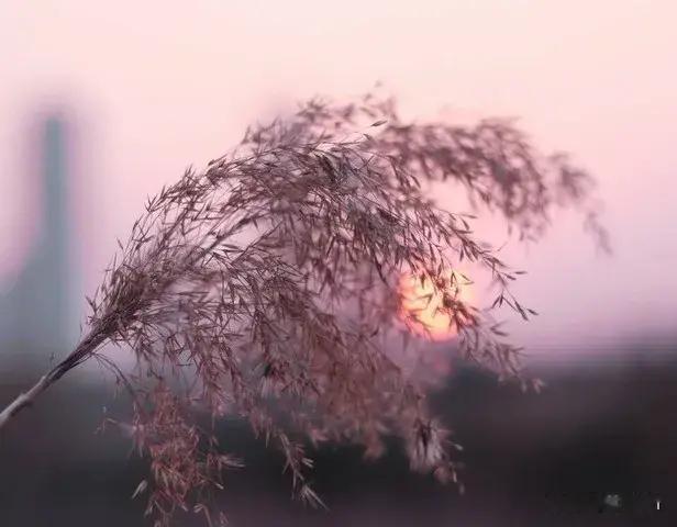 九四年我和妈妈去赶集顺手帮了一对母女：缘份早已注定