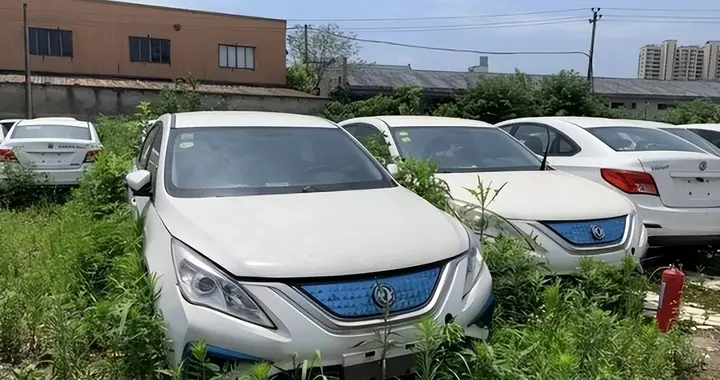 纯电动汽车究竟是“省钱”，还是“费钱”？内行人道破，明白了
