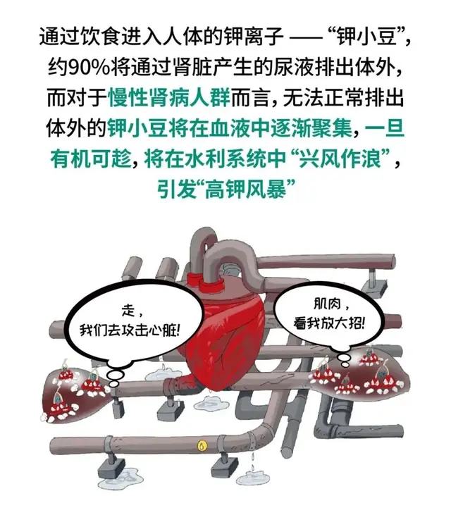 这10种食物，肌酐高的人少吃！分享给肾衰竭和透析的朋友们