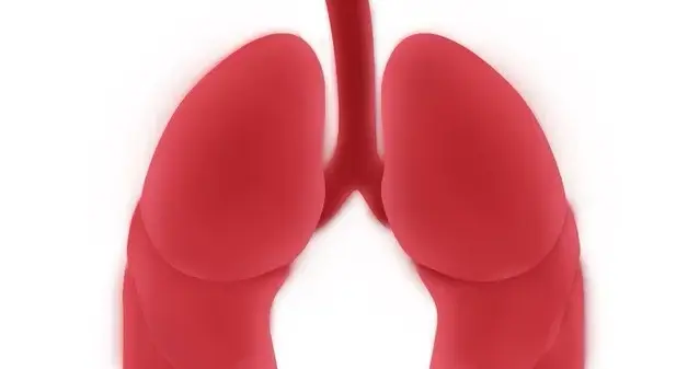 肺癌淋巴结转移，为什么有人能做手术，有人只能化疗？最新N2分期