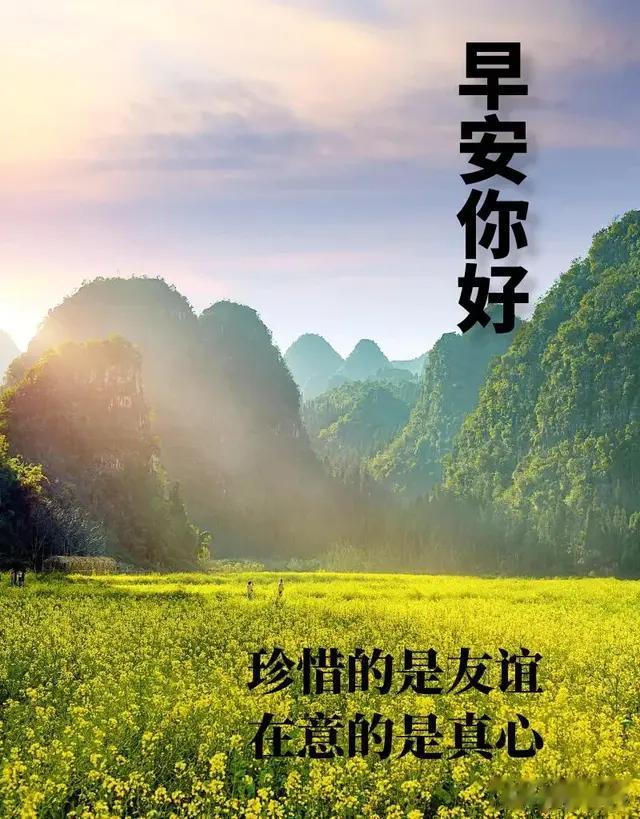 早安心语:珍惜的是友谊，在意的是真心，早安你好！