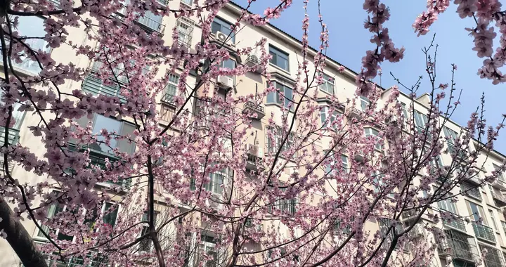 不要问值不值得，只管轰轰烈烈地来