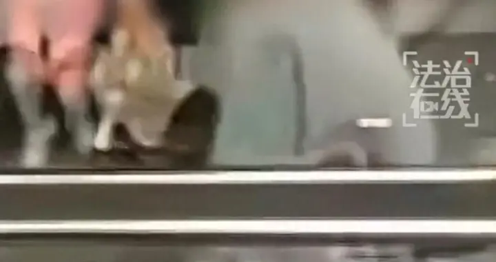 “本来一句对不起就能解决”，上海地铁男子强行挤占座位压到邻座大腿，法院...