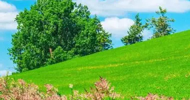 腿已经水肿了，是不是肾也不太好