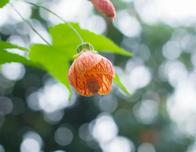 一对夫妻关系慢慢变坏，不是没钱与嫌弃，而是从这两个字开始的