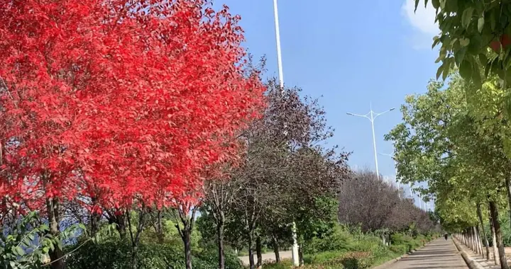 人撞了南墙才会懂 婚姻里 极致失望是 你做的一切我都觉得与我无关！