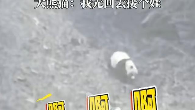 小虫飞123：四川绵阳平武，一位大姐正在