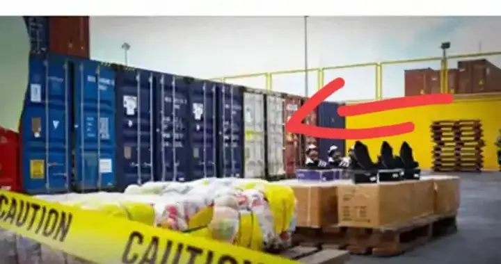 突发大事件！25个中国货柜抵达菲律宾被一锅端当场查扣