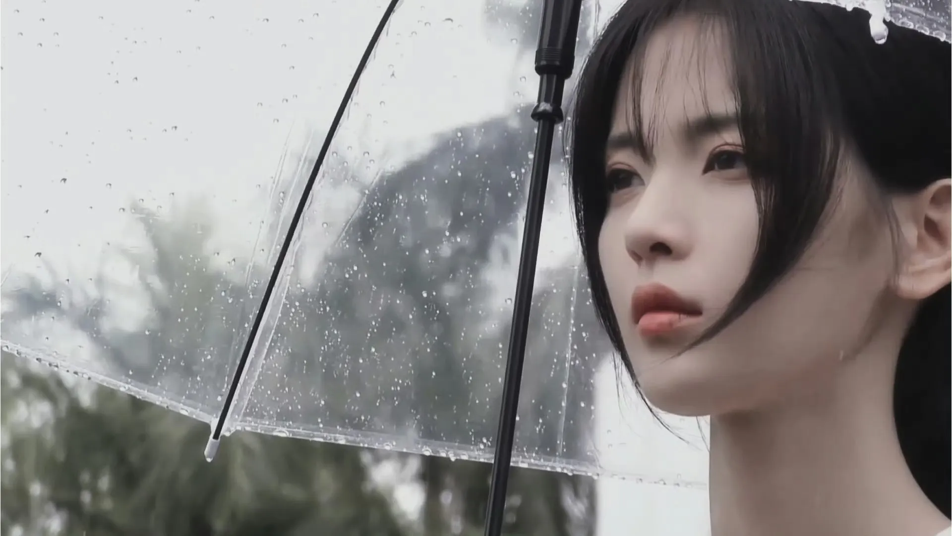 仿佛你静静只看我一眼 *郑雨 杨超越