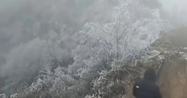 最低2摄氏度，大黎出现雾凇，离下雪一步之遥