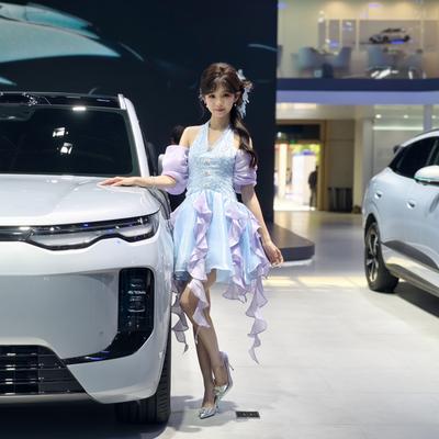 菜鸟耶夫斯基：北京车展E3比亚迪专馆全球