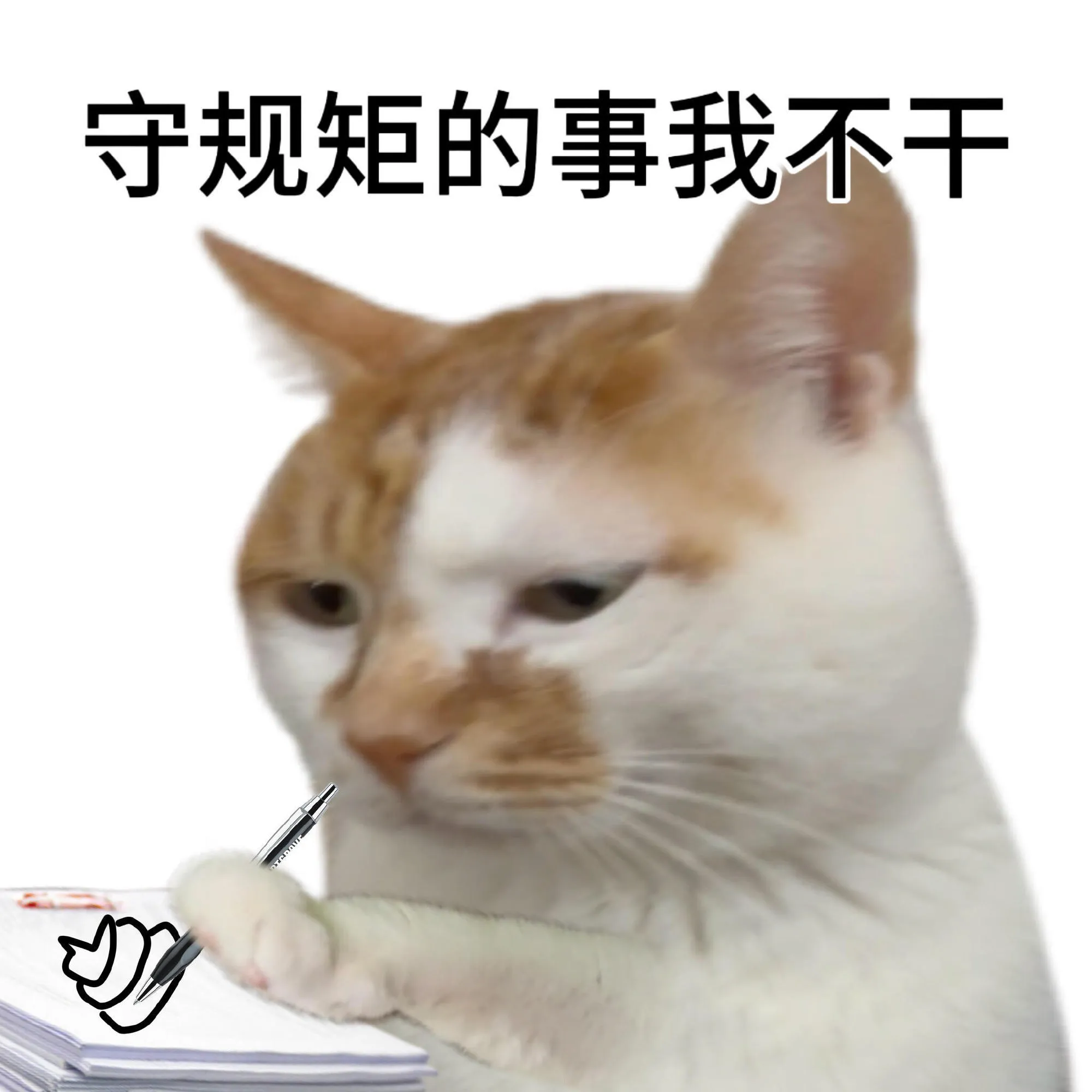 这个速度谁看了不说一句是不是疯了