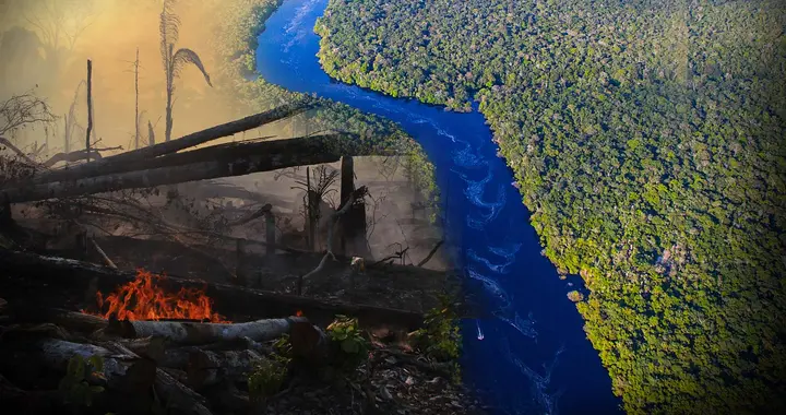 中国荒漠在变绿，国外热带雨林却在消亡，中国能独善其身吗？