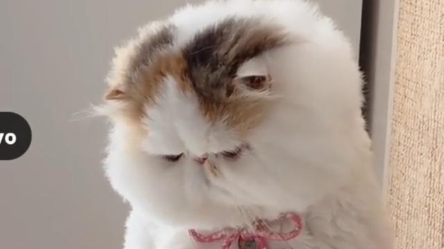 真水无香：可乐好喝，但真得慎重喝。 有一