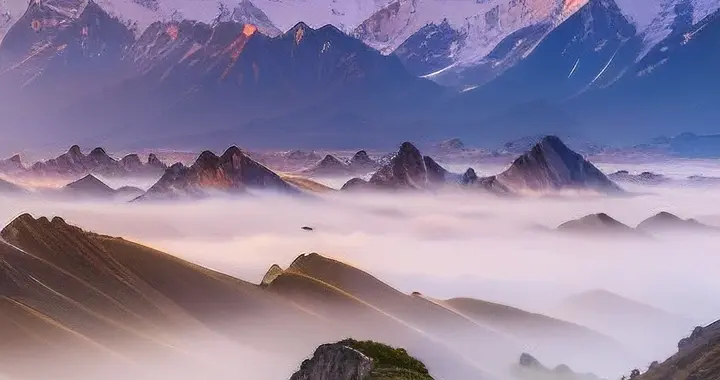 北京协和医院张海敏博士：其实人根本不用养老