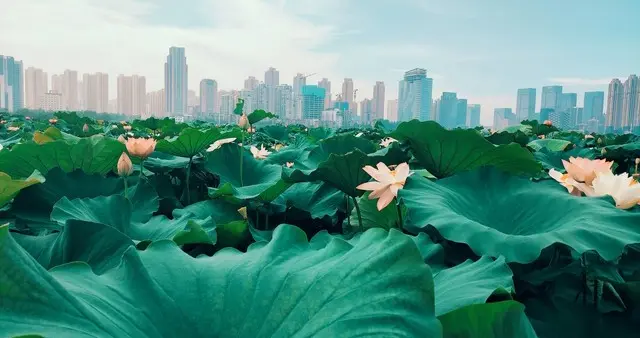 一件衣服穿十年？别笑他穷，佛说这是福报最深的人！