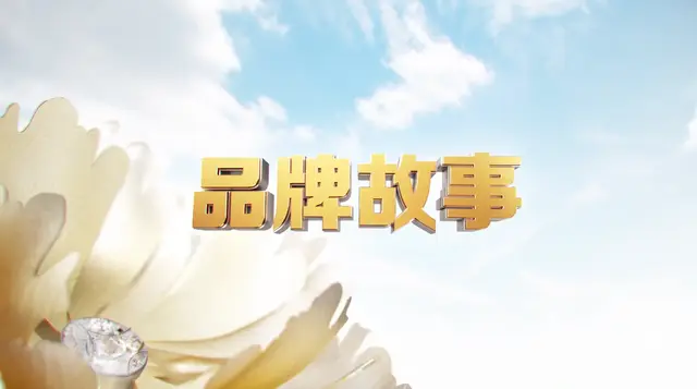 那些消失或正在没落的国产品牌带给我们的思考