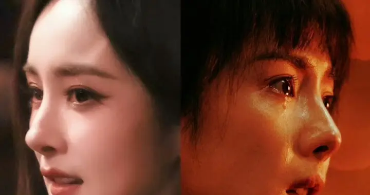 杨幂总台视后：土地淬炼的荣光，13年耕耘终成峰