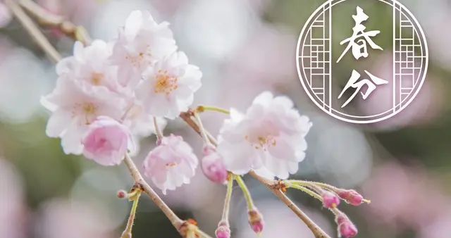 “白天春分，穿单衣；晚上雨春分，三月雪”，今日春分在几点？