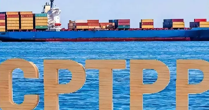 为啥我们五次申请CPTPP都失败？原因在于第四条