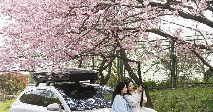 春日踏青封神！ET5T这3个功能，让每段旅程都不将就