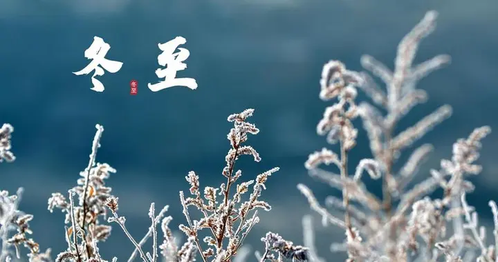 冬至吃饺子，建议大家：少吃白菜萝卜，多吃4样，养阳暖身庆团圆