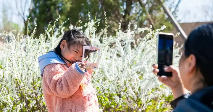 清明假期第二天，北京市属公园迎客87.36万，这数据太惊人了！