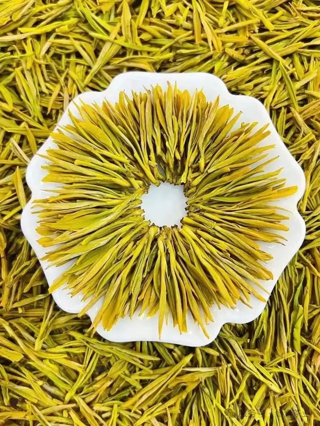 黄金芽：一口喝懂春天的茶中“软黄金”