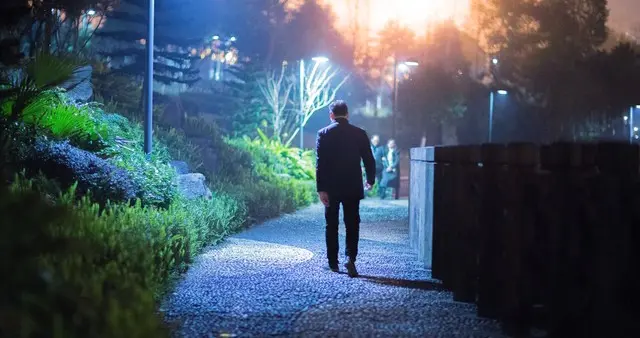 人到中年不敢倒下，因为身后空无一人