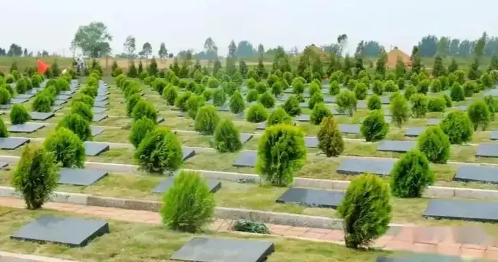 3月30日正式施行！2026农村坟地新规落地，老坟该何去何从？