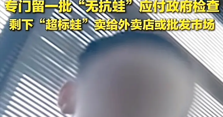 爱吃牛蛙的注意了！抗生素超标5倍，商家专搞阴阳货应付检查