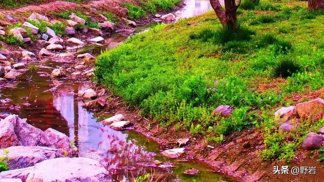 野岩：婚姻里最可怕的，不是没钱，而是无话