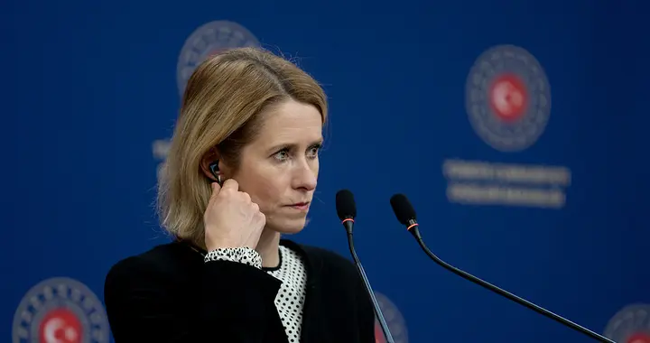 欧盟发联合宣言，六十国承诺护航，光动口不动手只为造势？