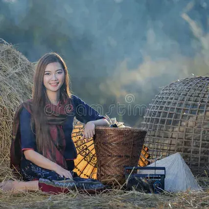 乡村闲话之四：马五的婚事(小小说)