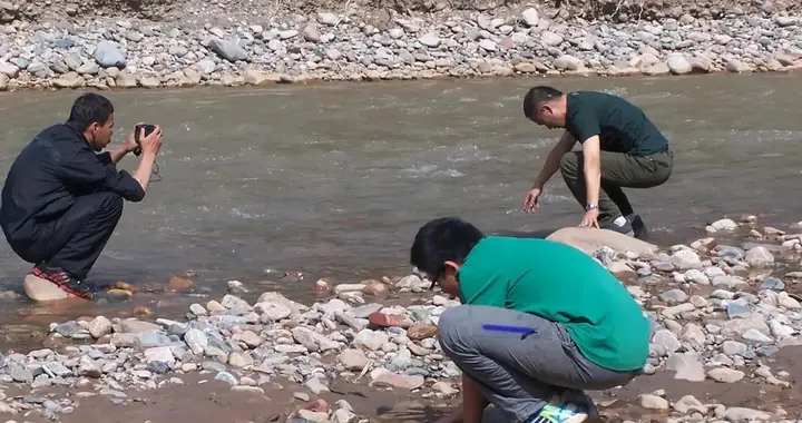 挨门邻居一墙之隔，隔断了财富反差，也隔断了康乐反差